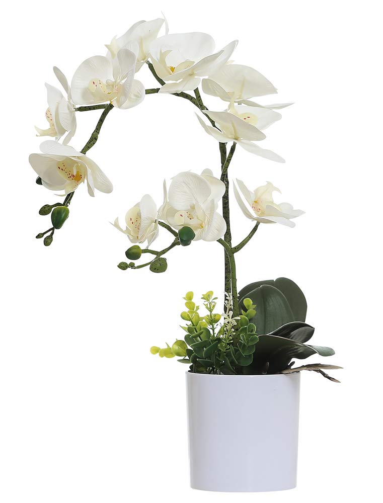 Omygarden White Orchid Artificial Flowers in Pot  Fake Plastic Orchid Flowers  Decoration for Home Office Wedding(White 2 Bouquets)