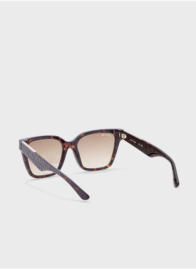 LACOSTE Modified Rectangle Sunglasses