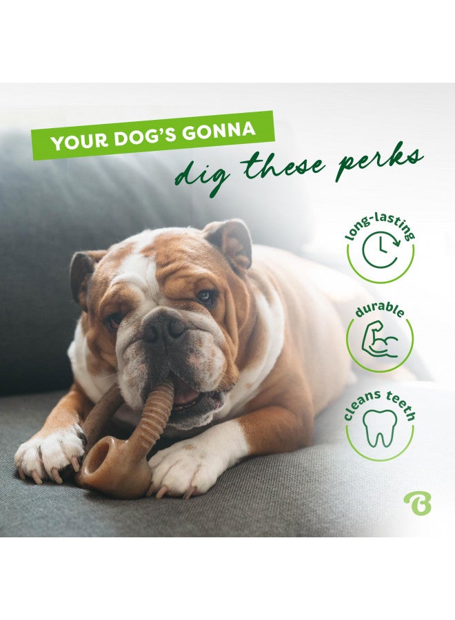 Benebone Ring Durable Dog Chew Toy for Aggressive Chewers, Real Bacon, Made in USA, Medium - Image 4