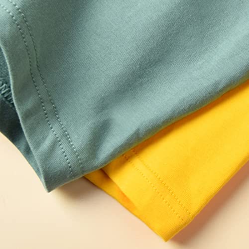 Blueleyu Boys/Toddler Boys Boxer Briefs Underwear 5 of Pack Cotton Briefs Set for Little and Big Boys (Size 2-3) - Image 5