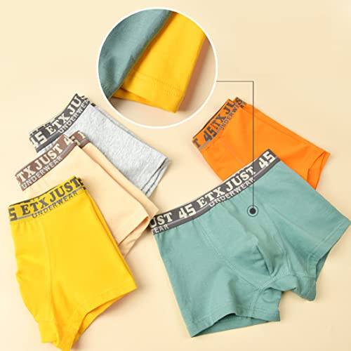 Blueleyu Boys/Toddler Boys Boxer Briefs Underwear 5 of Pack Cotton Briefs Set for Little and Big Boys (Size 2-3) - Image 2