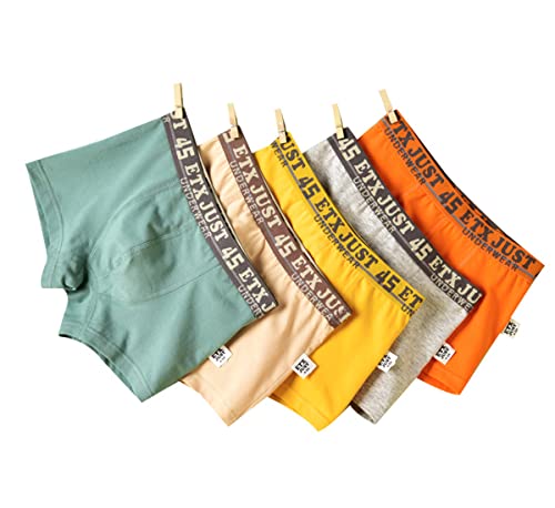 Blueleyu Boys/Toddler Boys Boxer Briefs Underwear 5 of Pack Cotton Briefs Set for Little and Big Boys (Size 2-3) - Image 1