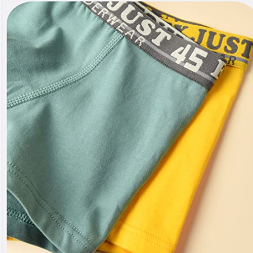 Blueleyu Boys/Toddler Boys Boxer Briefs Underwear 5 of Pack Cotton Briefs Set for Little and Big Boys (Size 2-3) - Image 4