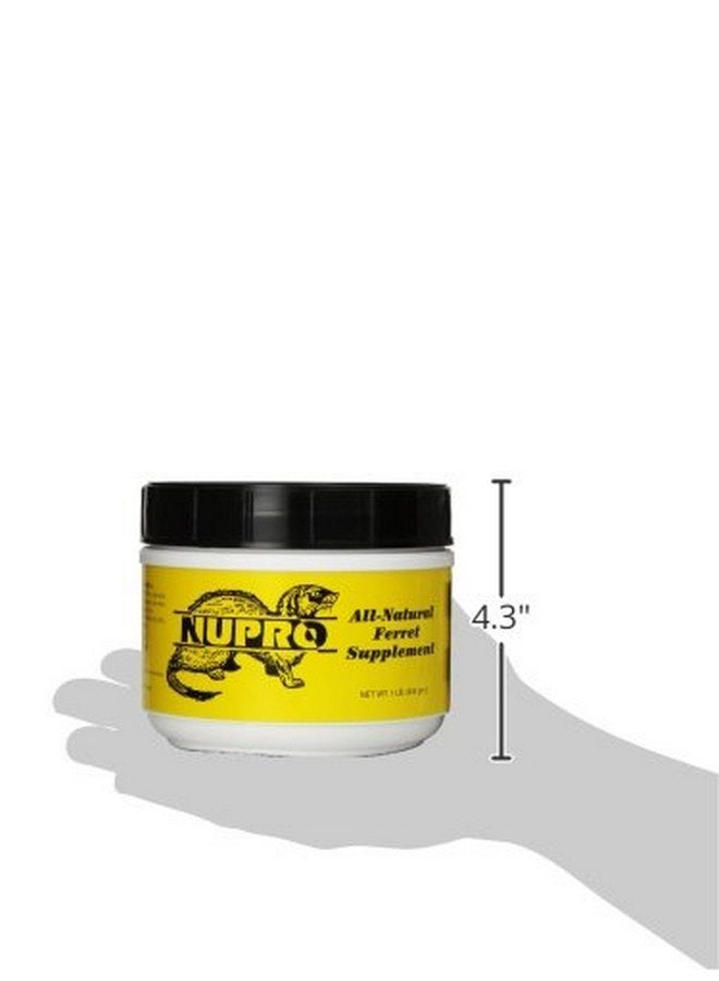 Nupro All Natural Ferret Supplement (1 lb) - Image 2