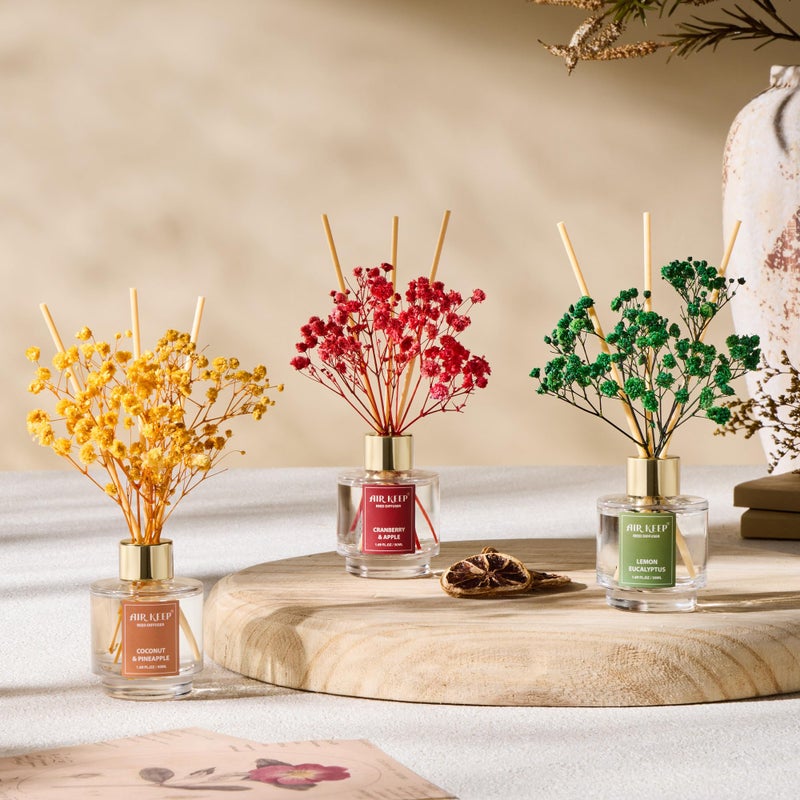 Airkeep Reed Diffuser Set of 3, Coconut Pineapple Lemon Eucalyptus Cranberry Apple Oil Reed Diffusers for Bedroom Living Room Office Aromatherapy Oil Reed Diffuser for Gift 50ml x 3 - Image 5