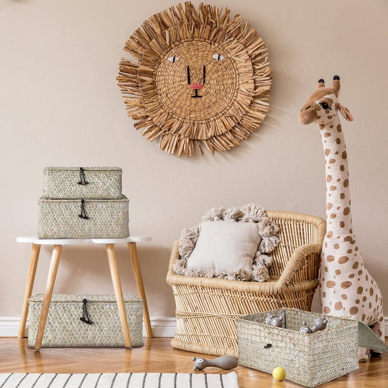 Woanger Set of 4 Wicker Storage Baskets Organizer，Handwoven Storage Bins with Lid for Organizing, Home Utility Box for Home Office Supplies Multipurpose Container(White) - Image 3