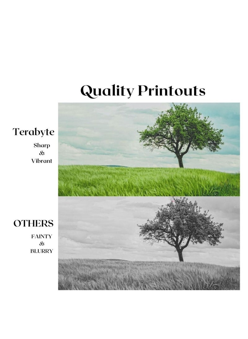 Terabyte MLT111S COMPATIBLE TONER TERABYTE - Image 4