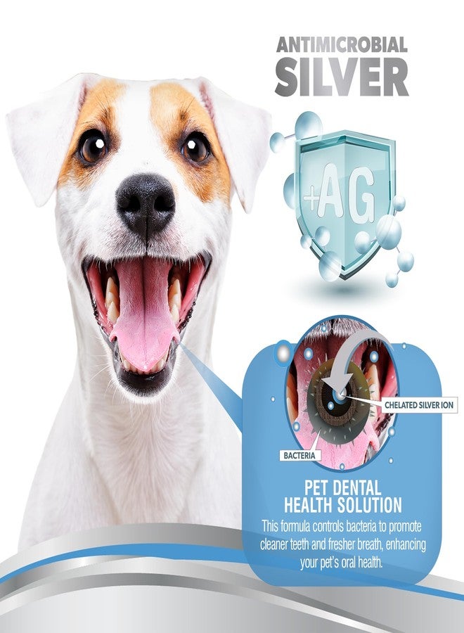 PetSilver Teeth & Gum Water Additive for Dental Care - Pet Breath Freshener - Targets Tartar, Plaque & Eliminates Bad Breath - Dog Oral Care & Cat Teeth Cleaning - No Brushing & Tasteless - 12 fl oz - Image 3