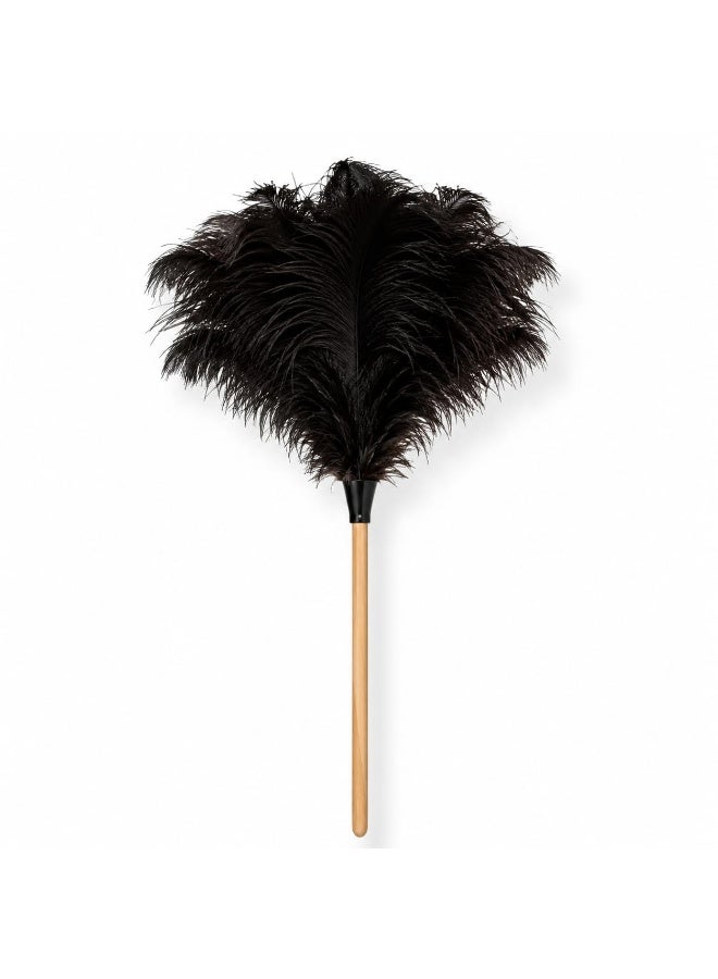 Premium Natural Ostrich Feather Duster - Compact Mini Size"Two pieces" - Image 2