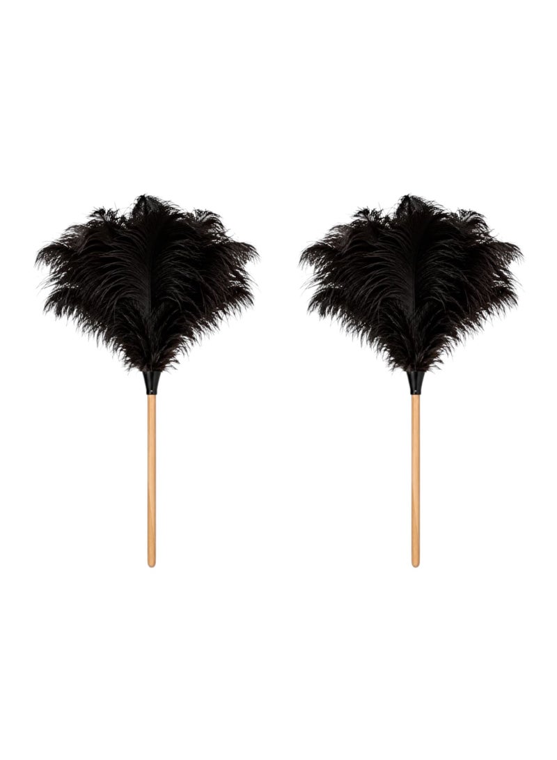 Premium Natural Ostrich Feather Duster - Compact Mini Size"Two pieces" - Image 1