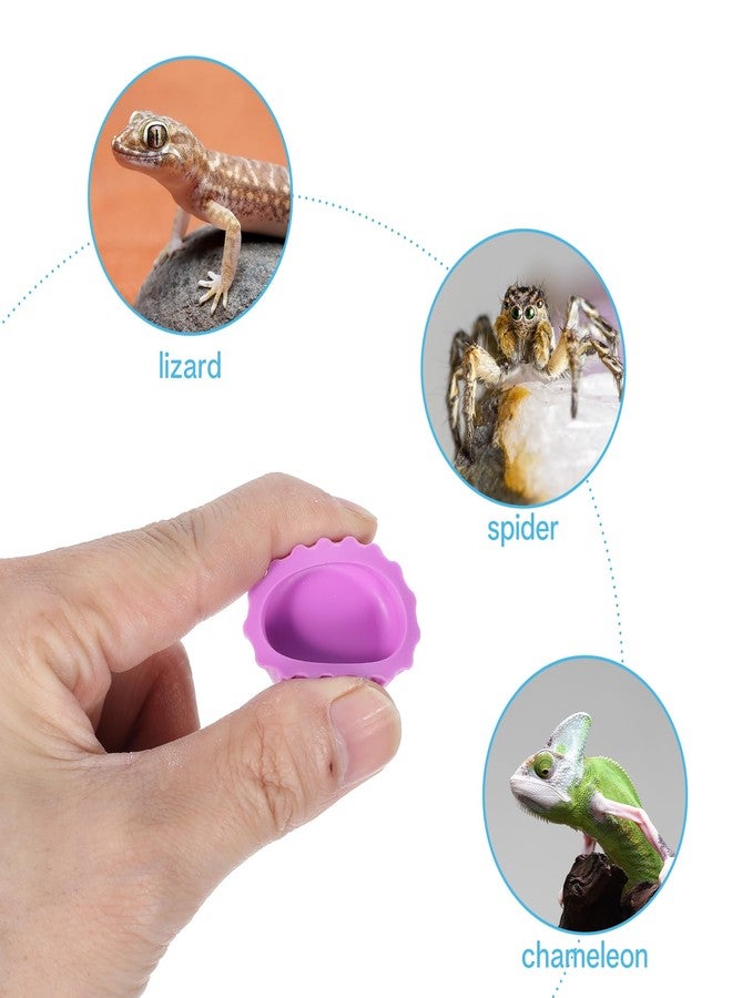 KFHENSOMR 12 Pack Crested Gecko Food and Water Bowl, Reusable Reptile Food Dish, Silicone Colorful Water Bowl Gecko Tank Accessories for Tortoise, Crab,Tarantula, Lizard - Image 5