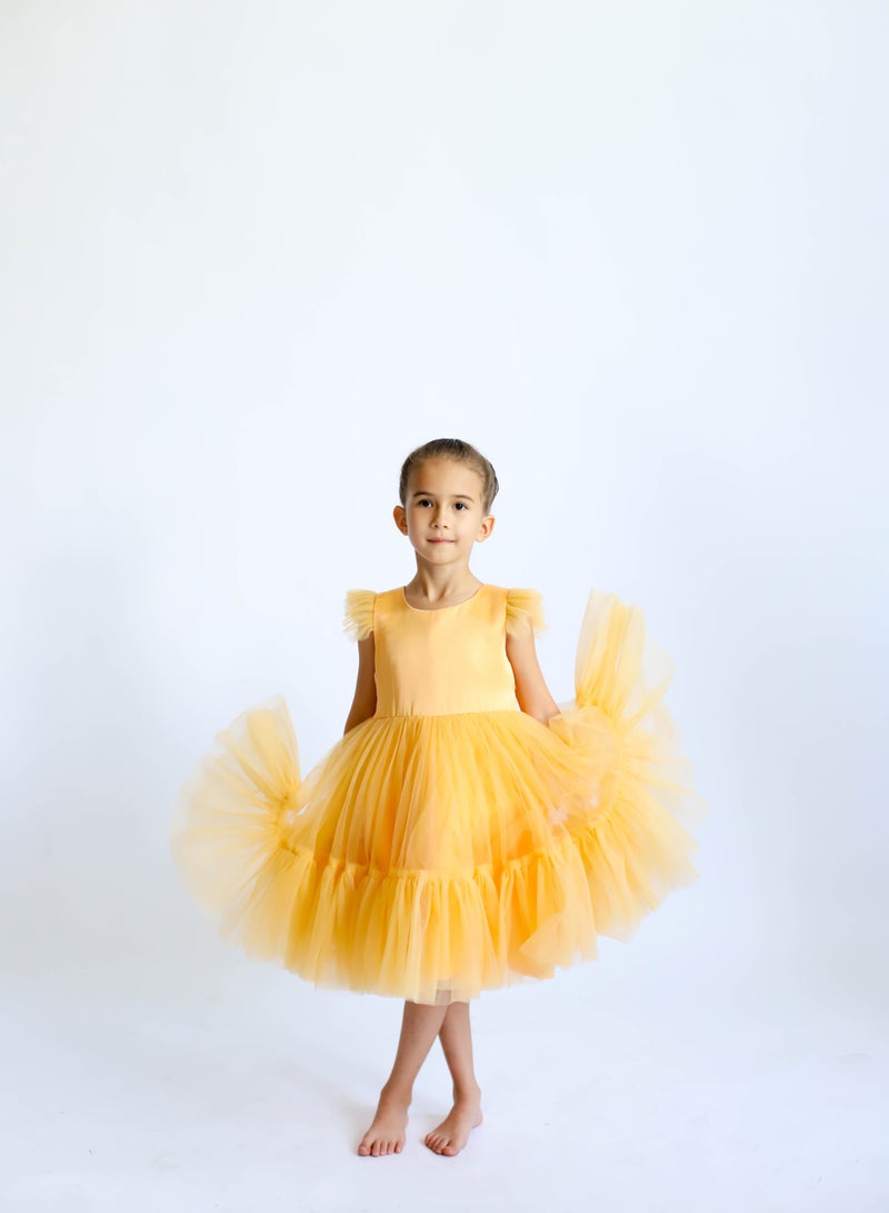 D'Daniela Layered Tulle Dress - Image 3