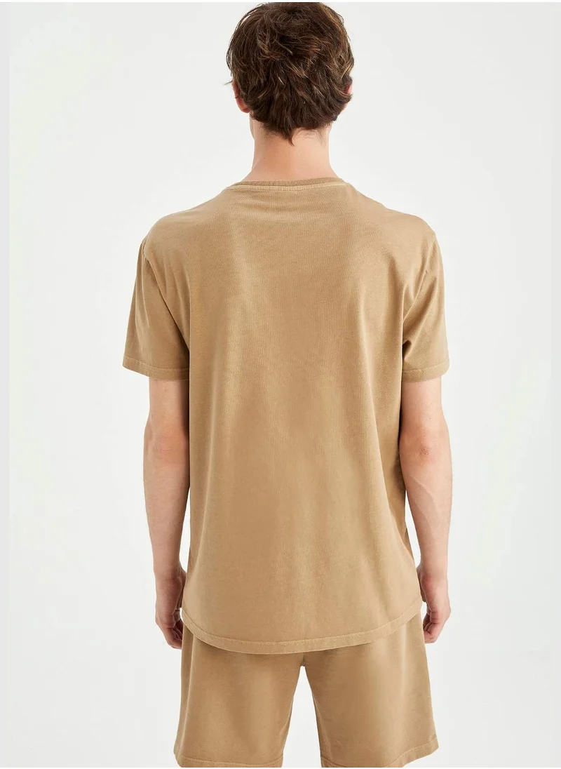 DeFacto Man Regular Fit Crew Neck T-Shirt