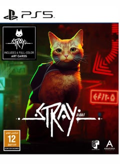 Stray PS5