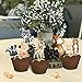 Aukolass 24 Pcs Woodland Cupcake Toppers and Wrappers Jungle Safari Zoo Cake Decorations Food Picks for Animal Theme Baby Shower Birthday Party Supplies - Image 4