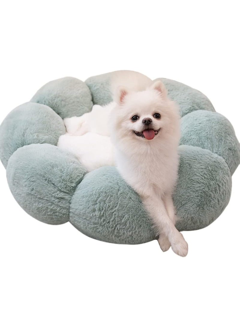 Plush Pet Bed, Cute Warm And Comfortable Sofa Pet Kennel, Thickened Non-Slip Soft Pet Bed For Dogs And Cats , Green - Image 1
