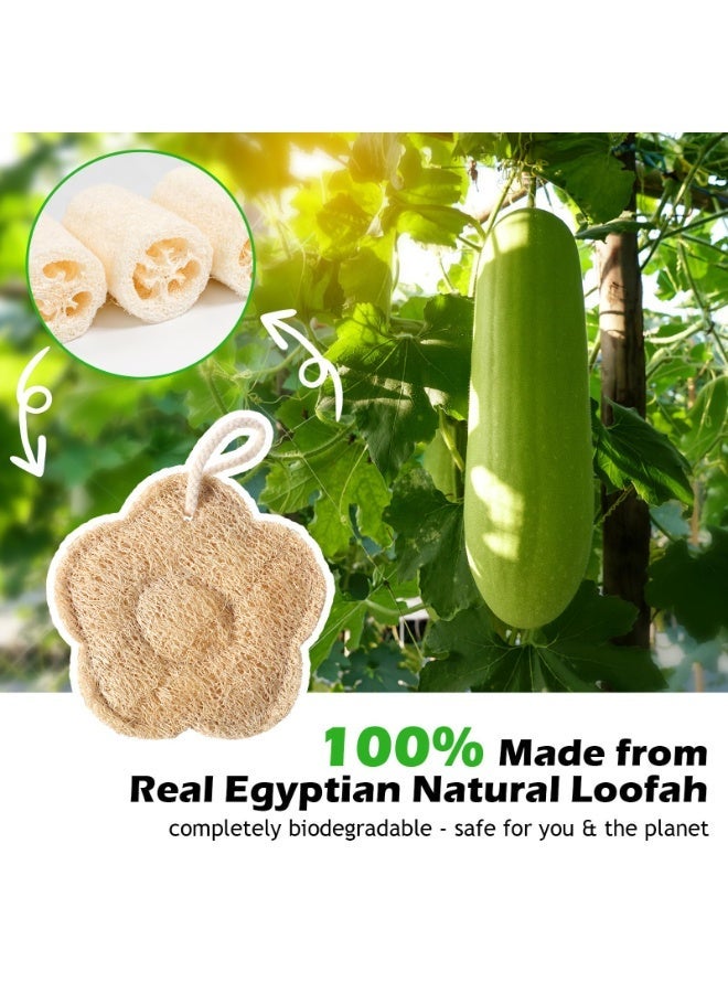 2PCS Travel Natural Egyptian Loofah Sponge, Exfoliating Body Scrubber Shower Exfoliator for Men and Women Bath Accessories - Image 5