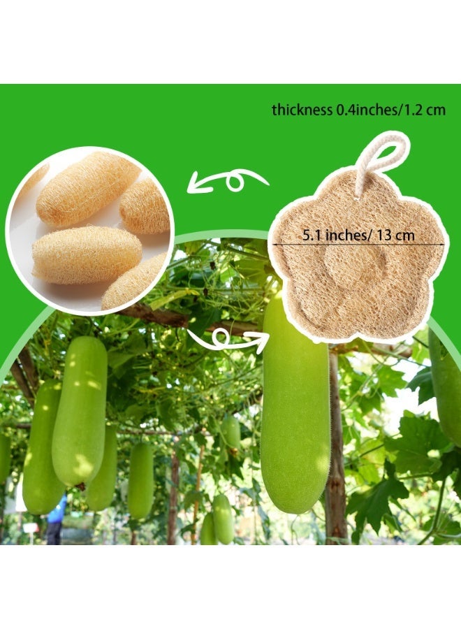 2PCS Travel Natural Egyptian Loofah Sponge, Exfoliating Body Scrubber Shower Exfoliator for Men and Women Bath Accessories - Image 2