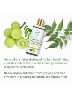 Nuerma Science Amla Neem Hair Oil With Brahmi For Anti Dandruff Strong & Healthy Hair 200 Ml Pack Of 2  - Image 5