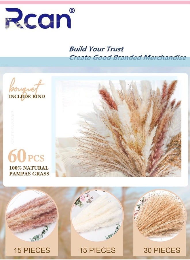 Rcan Natural Dried Pampas Grass Bouquet 60 Pcs Dried Reed Flowers Boho Home Decor Fluffy Stem Bouquet for Home Table Decorations Wedding Floral Arrangements  - Image 2