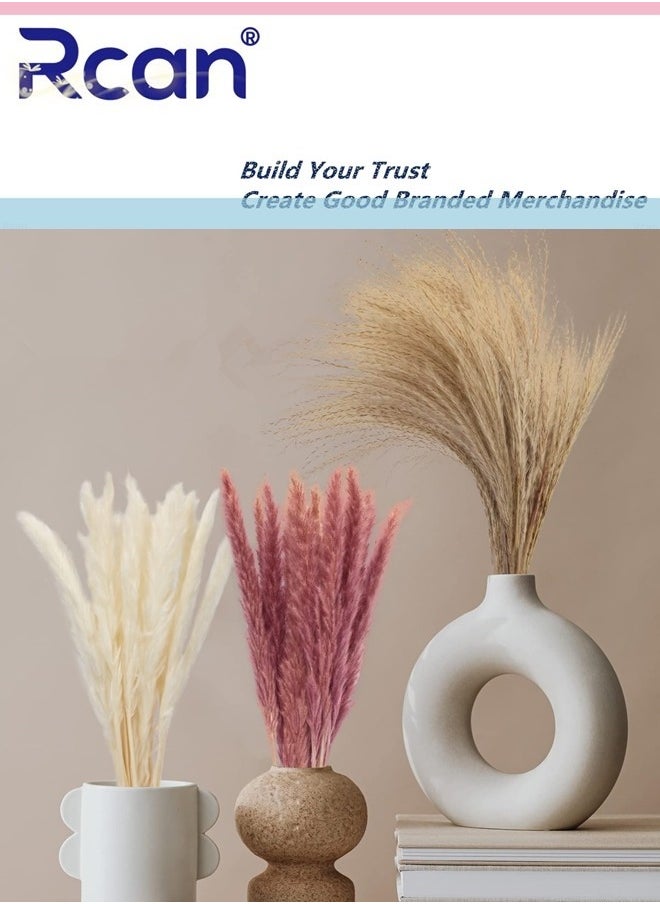 Rcan Natural Dried Pampas Grass Bouquet 60 Pcs Dried Reed Flowers Boho Home Decor Fluffy Stem Bouquet for Home Table Decorations Wedding Floral Arrangements  - Image 3