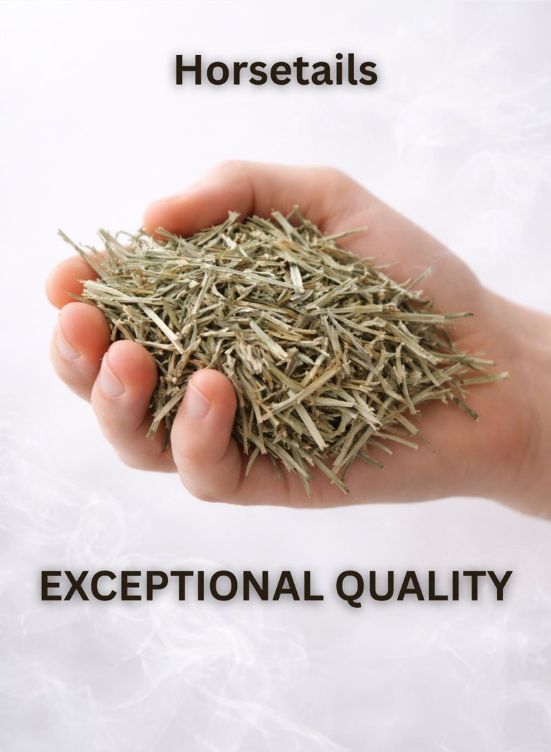 Zahr Horsetail Herb Dried – 100% Natural Equisetum Arvense | Premium Botanical Herbal Plant for Traditional Herbal & Gardening Use - Image 3
