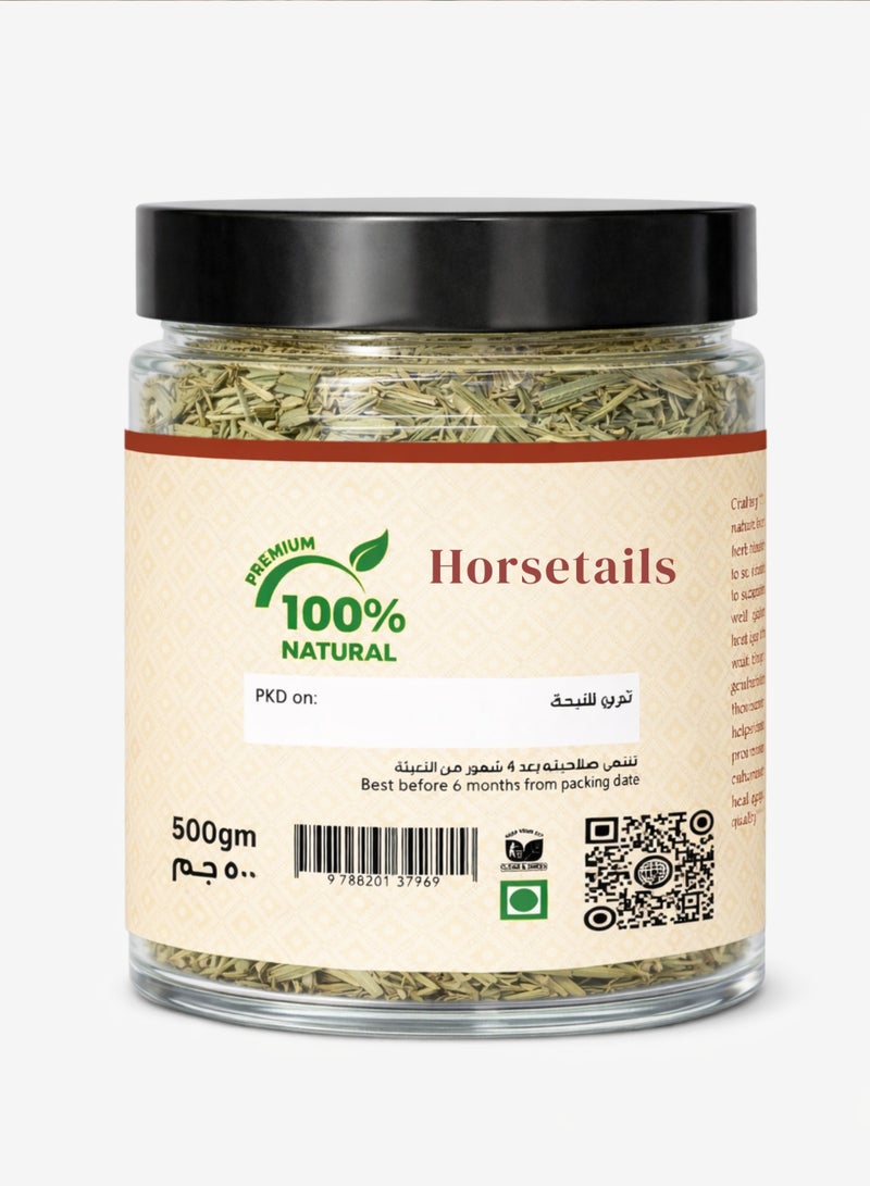 Zahr Horsetail Herb Dried – 100% Natural Equisetum Arvense | Premium Botanical Herbal Plant for Traditional Herbal & Gardening Use - Image 2