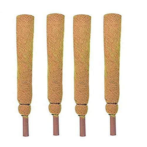 COIR GARDEN Coir Moss Stick/Coco Pole for Climbing Money Plants, Indoor and Outdoor Plants, 2.5 ft, 76 cm - Set of 4 - Image 1