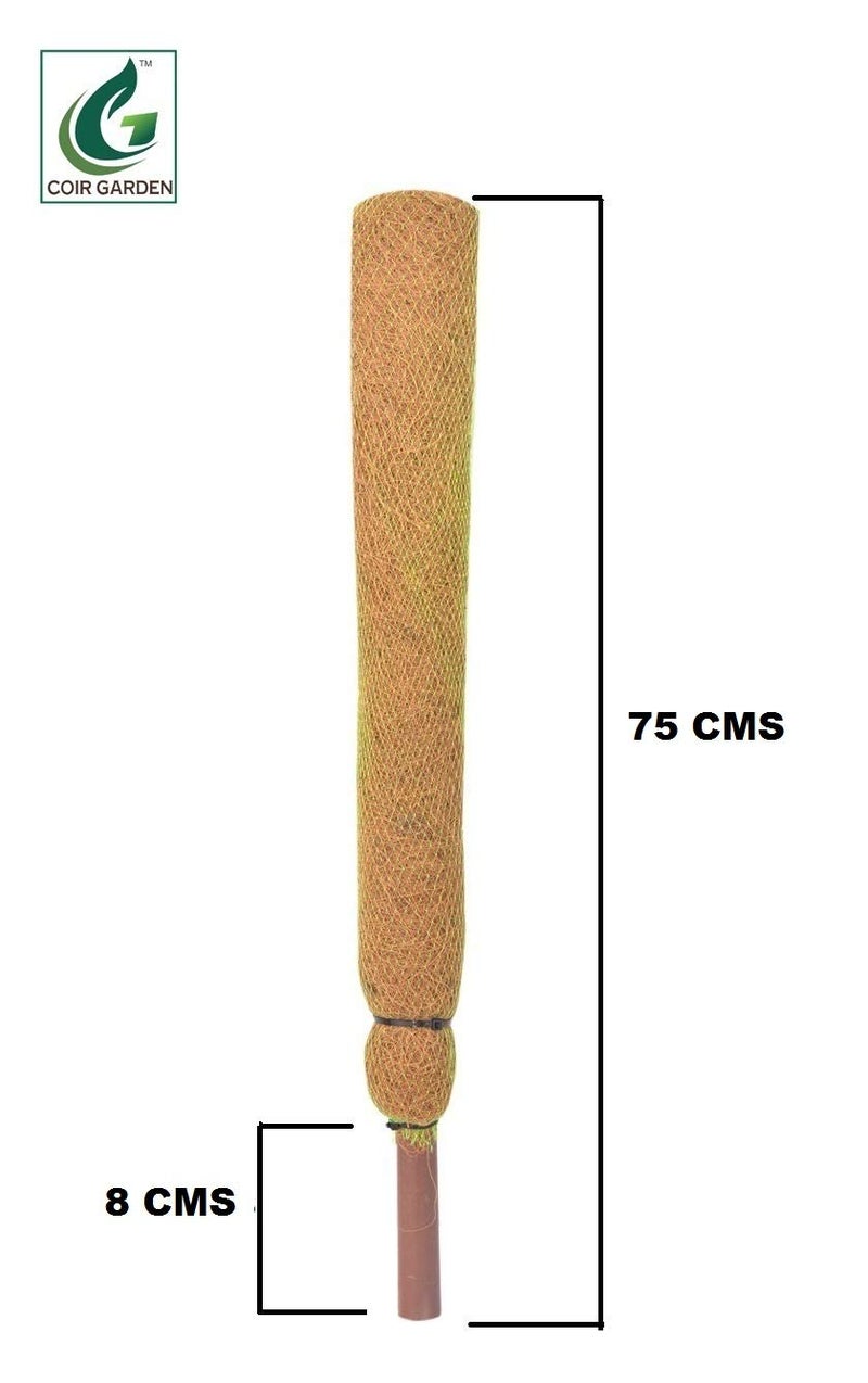 COIR GARDEN Coir Moss Stick/Coco Pole for Climbing Money Plants, Indoor and Outdoor Plants, 2.5 ft, 76 cm - Set of 4 - Image 2