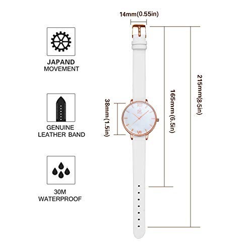 SHENGKE Creative Simplicity Women Watch Genuine Leather Elegant Women Watches Ladies Business Wristwatch(Black) (Rosegold-Natural Shell Dial) - Image 5