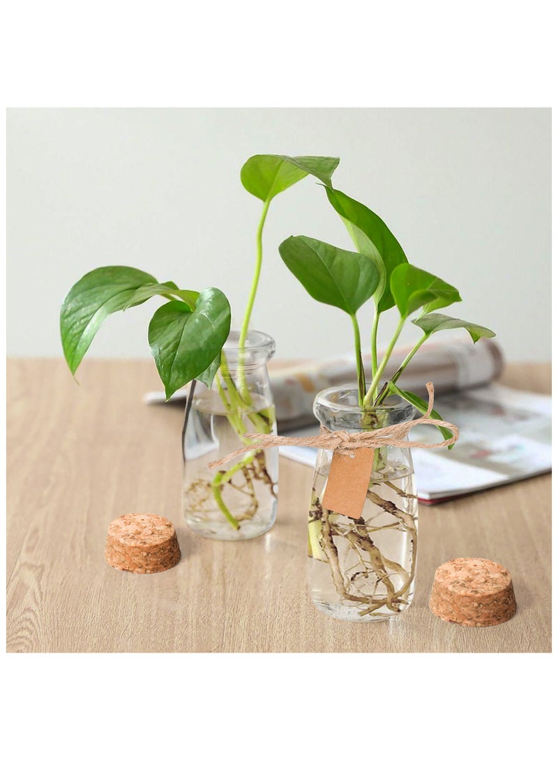 SKYLINK 12Pack 3.4oz Glass Jars with Cork Lids – Small Storage Containers for Spices, Herbs, Candies, DIY Crafts, Home Décor, and Party Favors - Image 4