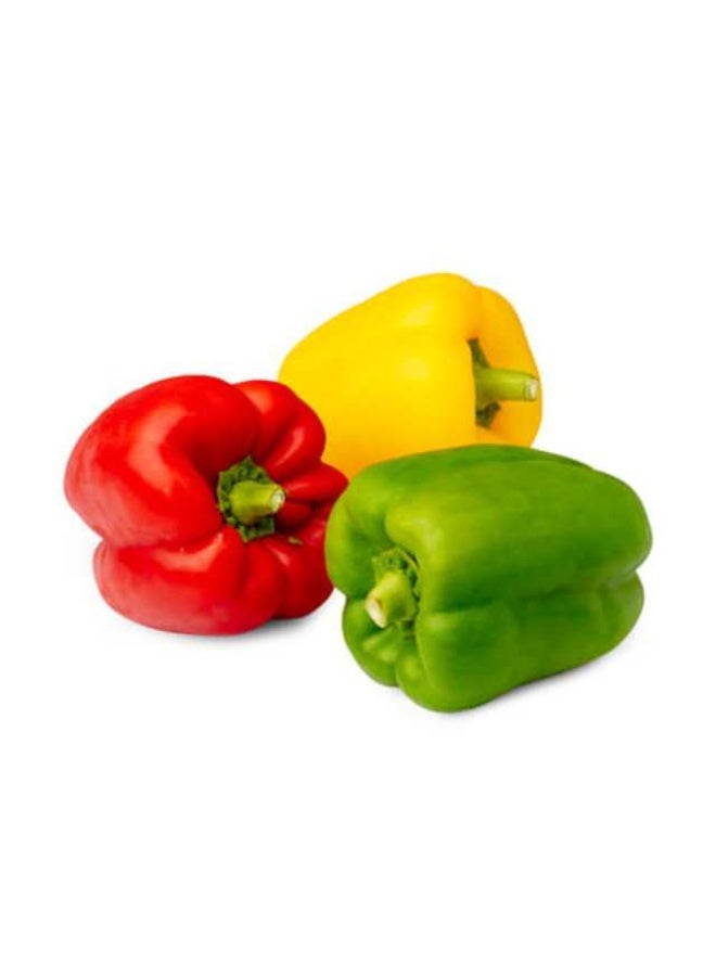 Capsicums , Mix - 250g to 400g- 3 pieces, Oman