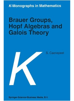 Brauer Groups, Hopf Algebras and Galois Theory 