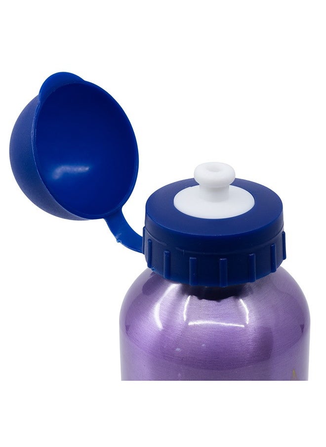 STOR - Disney Bottle Aluminium 400 ML Frozen Trust The Journey . - Image 1