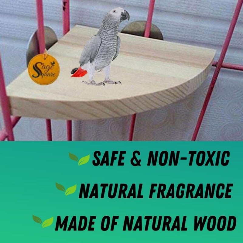 Sage Square 8inch/20 cm Light Weight Natural Wood Corner Platform/Perch/Stand Bird Toy for Sun Conure, Pionus, Quaker Parrot, Cockatiel, Finch, Canary, Lovebird, Budgerigar, Budgeri - Image 5