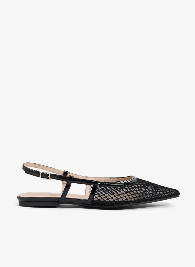 ريد سكوتي سلاسل خلفية باليرينا