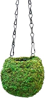 SuperMoss (29346) Kokedama Planter, 4", Fresh Green - Image 1