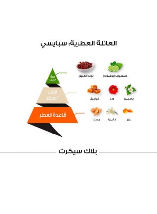 بلاك سيكريت كلاسيك - 150 مل - view 3