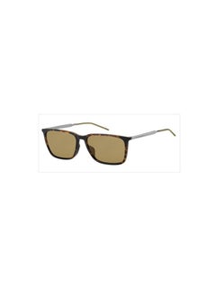 Sunglasses Model TH 1652/G/S Color 086/70 Size 55 mm