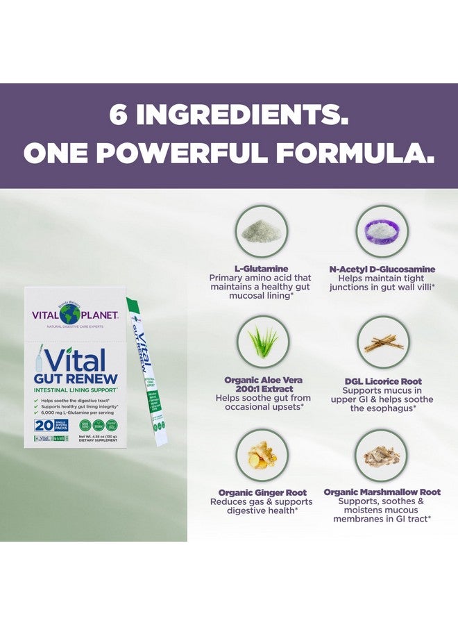 Vital Planet Vital Planet - Vital Gut Renew Powder Supplement for Leaky Gut Repair with L-Glutamine, Marshmallow and Ginger Root, DGL Licorice Root and Organic Aloe Vera, L Glutamine 6000mg, 20 Single Serve Packs - Image 4