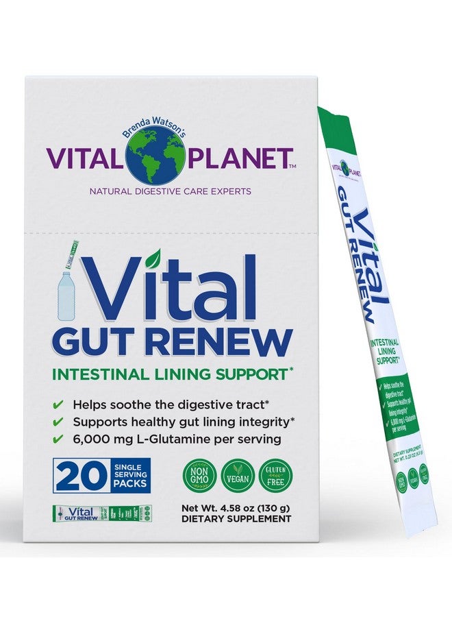 Vital Planet Vital Planet - Vital Gut Renew Powder Supplement for Leaky Gut Repair with L-Glutamine, Marshmallow and Ginger Root, DGL Licorice Root and Organic Aloe Vera, L Glutamine 6000mg, 20 Single Serve Packs - Image 1