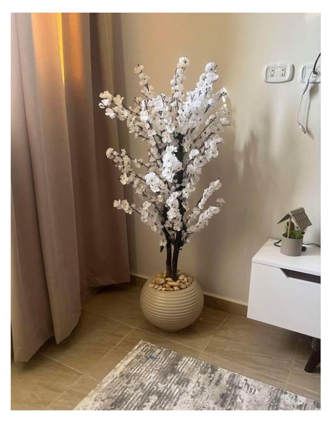 NAMA Apricot Tree 150 cm in Acrylic Pot - Decorative Plant - Image 1