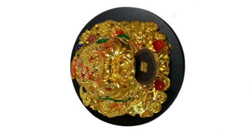 RIPE INDIA RIPE INDIA Three Leg Money Frog with Base Big Size for Wealth Prosperity - Image 2