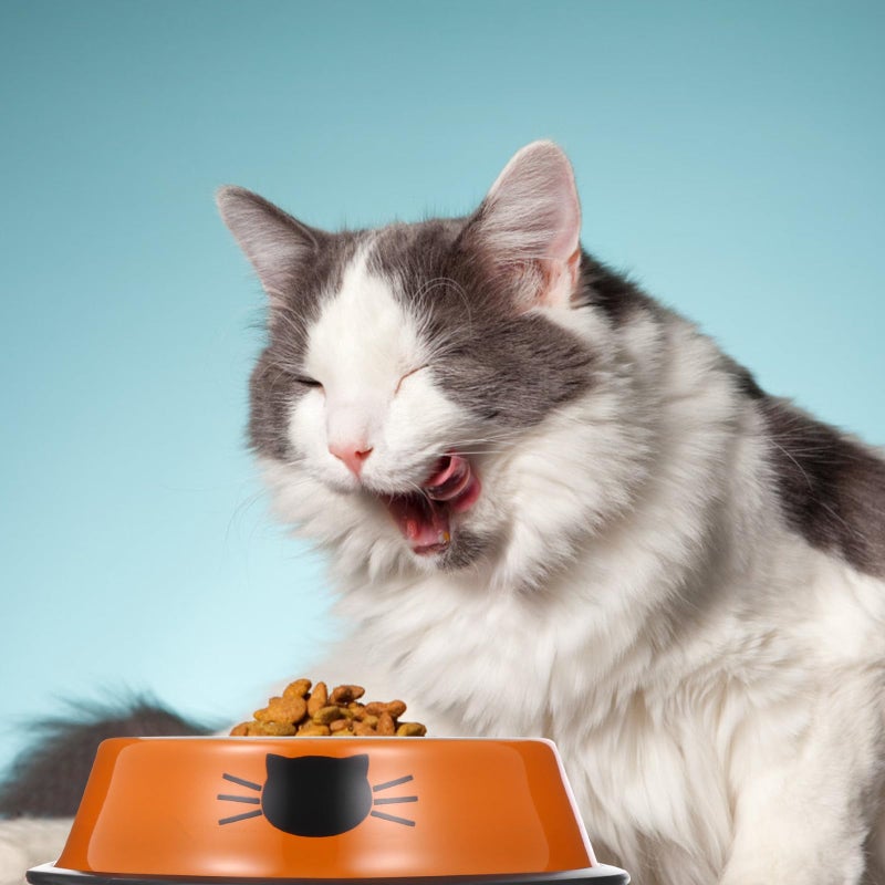 Double Bowl Pet Feeder Stainless Steel Cat Dog Food Water Dish Orange - Image 5