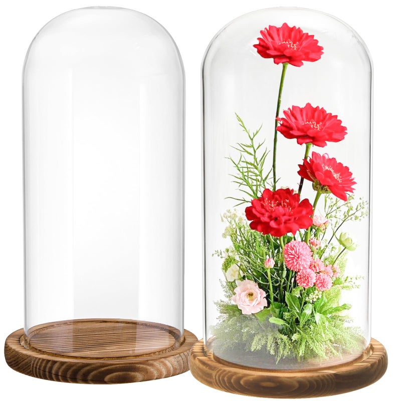 Mezchi 2 Pack Glass Cloche Display Dome 10 Inch Large Decorative Glass Bell Jar Clear Dome Showcase with Dark Brown Wooden Base for Plants Medals Photos Antique Collectibles Mothers Day