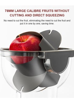 sokany Slow Masticating Juicer, Slow juicer, Fruit/Vegetable Juicer, Cold Press Juicer with High Output 300W JE-32 White  - Image 4