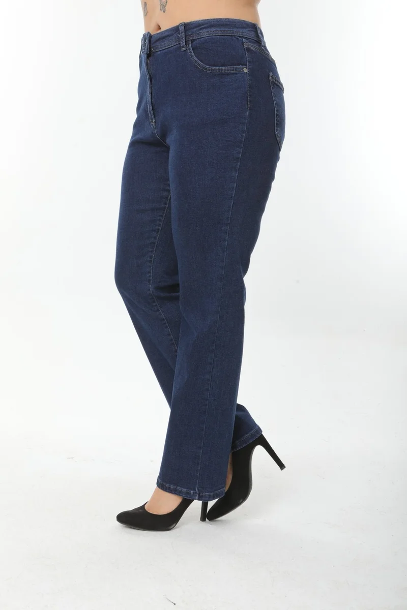 Era Lisa Straight Leg Relaxed Fit Lycra Women's Black Plus Size Jeans