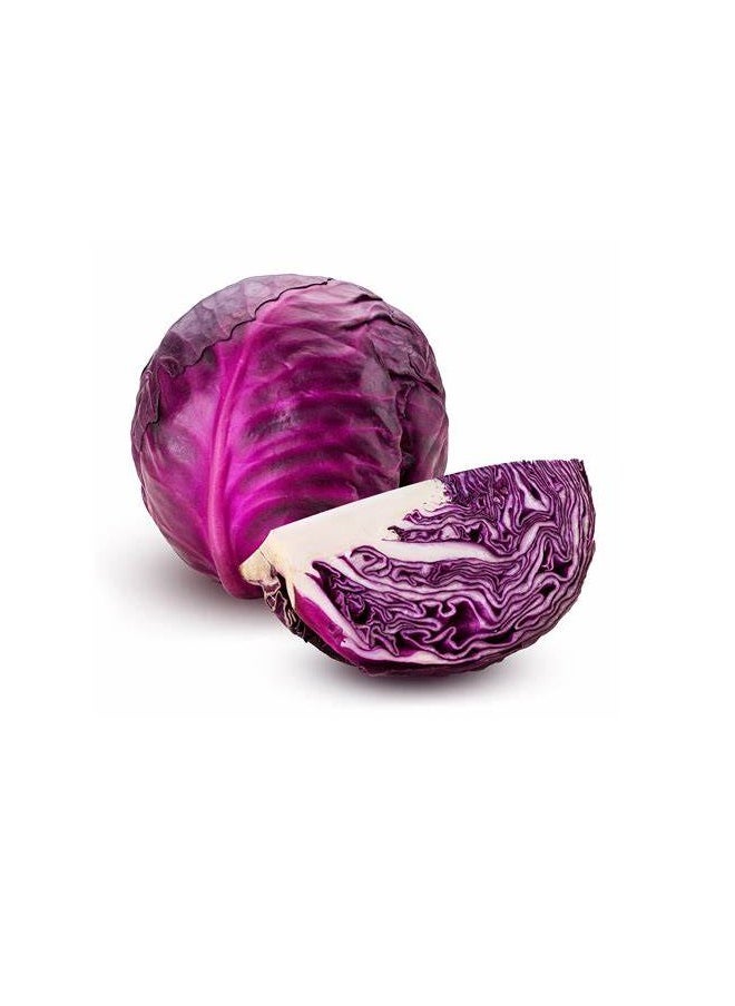 أجريماكس - بذور الملفوف الأحمر عالية الجودة من Agrimaxgroup® - Image 1