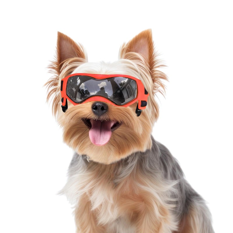 PETLESO Dog Goggles Small Breed, Dog Sunglasses Small Breed Dog Eye Sun Light Protection, UV Protection Goggles for Dog with Adjustable Straps, Small Orange - Image 1