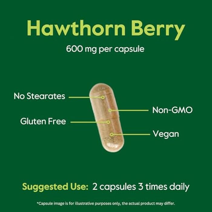 BESTVITE Hawthorn Berry 600mg per Capsule (240 Vegetarian Capsules) - No Stearates - No Fillers - Vegan - Non GMO - Gluten Free - Image 5
